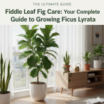 Fiddle Leaf Fig Care: Your Complete Guide to Growing Ficus Lyrata