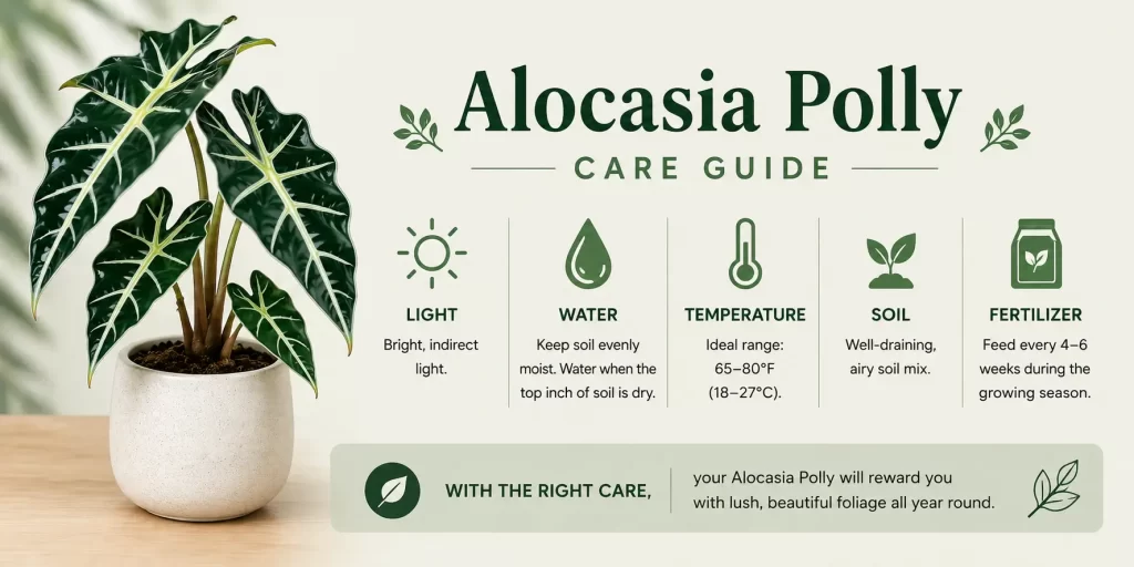 Alocasia Polly Care Guide: Indoor Plant Care Tips