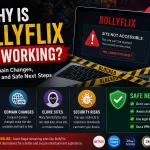 Why Is BollyFlix Not Working? Blocks, Domain Changes, Clone Sites, and Safe Legal Alternatives Explained