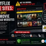 BollyFlix clone sites infographic showing how to identify fake movie download websites and avoid security risks